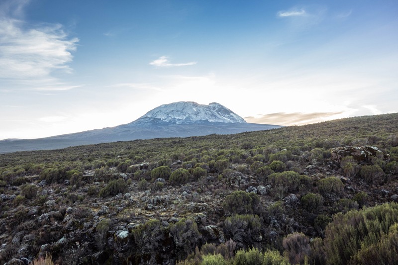 MarcyYu_Kilimanjaro16